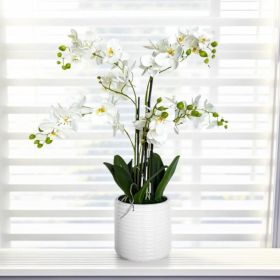 Artificial Orchid Arrangement In Ceramic Pot  Home Decor Ornament (Option: 1Pc)